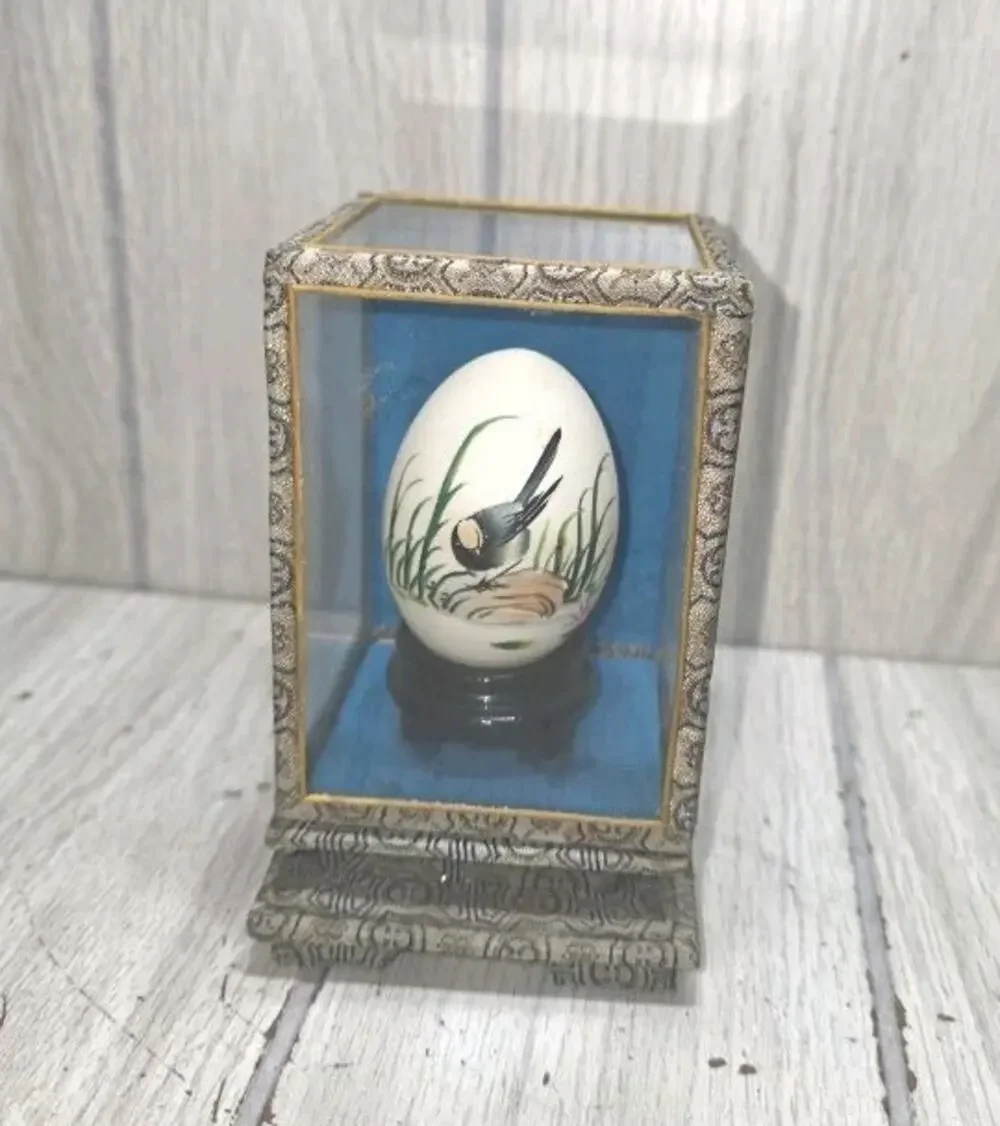 Vintage Hand Painted Song Bird Egg In Glass Box Delicate Fragile Elegant